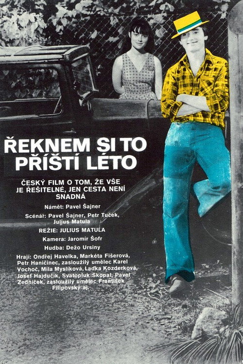 Movie poster for Řeknem si to příští léto (1978)