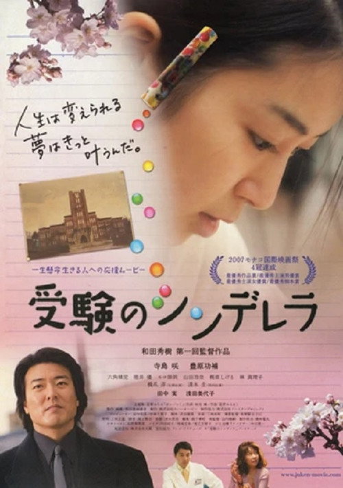 Movie poster for Cinderella Formula (2008)