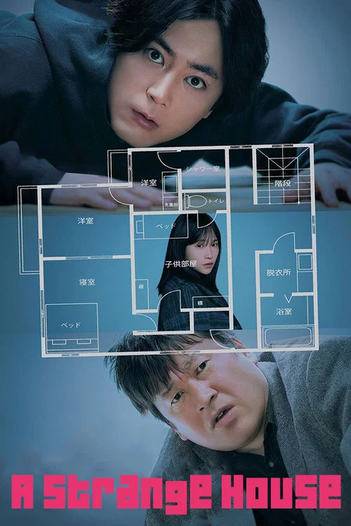 Movie poster for A Strange House (2024)