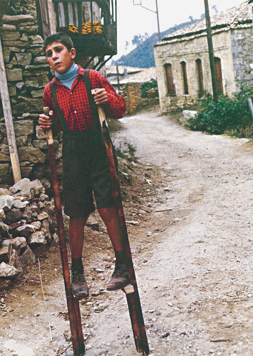 Movie poster for The Flea (1990)