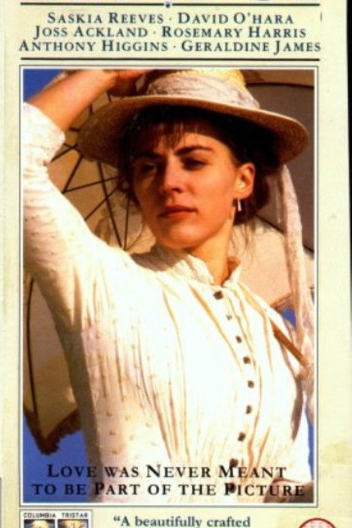 Movie poster for The Bridge (1992)