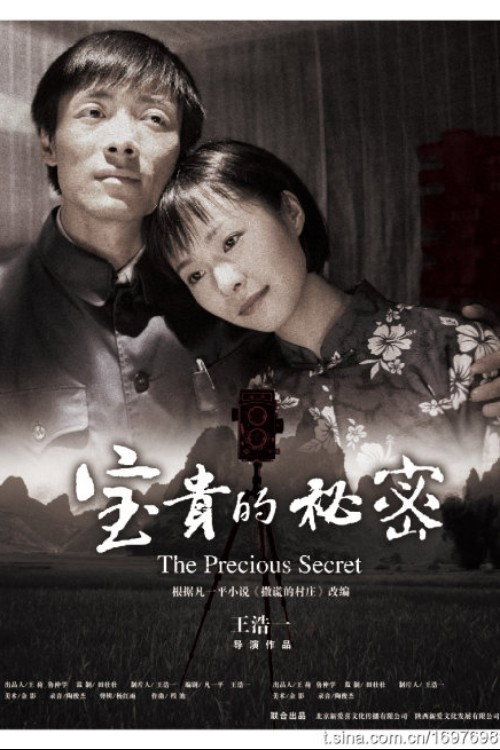 Movie poster for 宝贵的秘密 (2009)