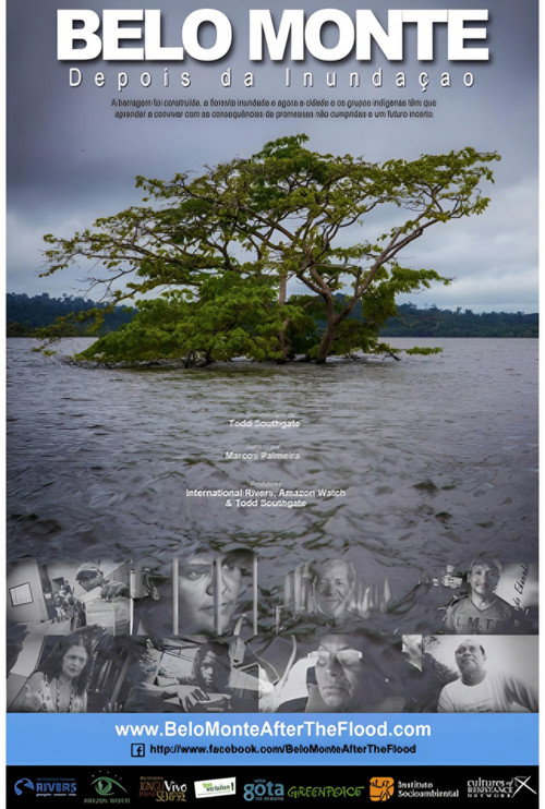 Movie poster for Belo Monte: After the Flooding (2016)