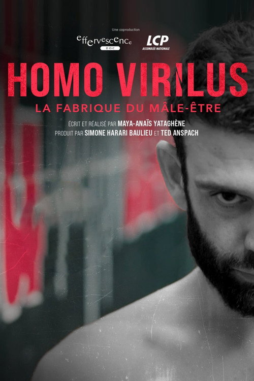 Movie poster for Homo virilus : la fabrique du mâle-être (2025)