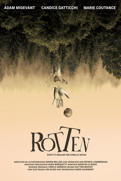 Movie poster for Rotten