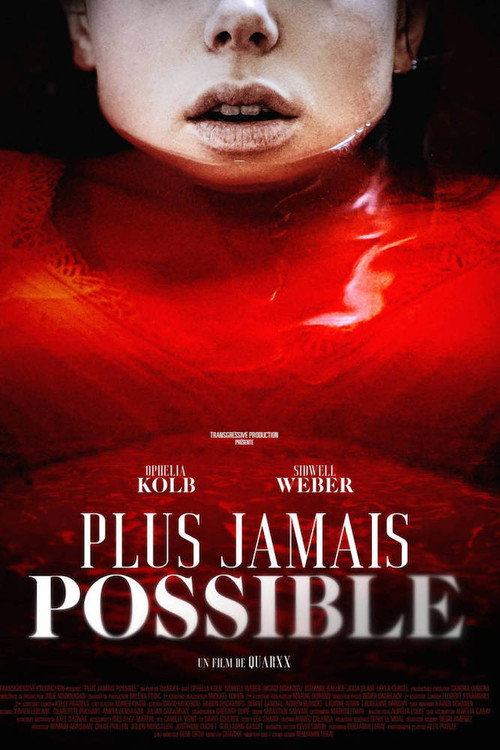 Movie poster for Plus jamais possible (2020)