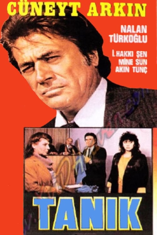 Movie poster for The Witness (1987)