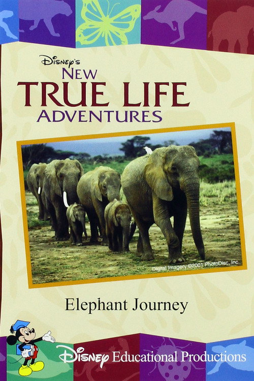Movie poster for Elephant Journey (2000)