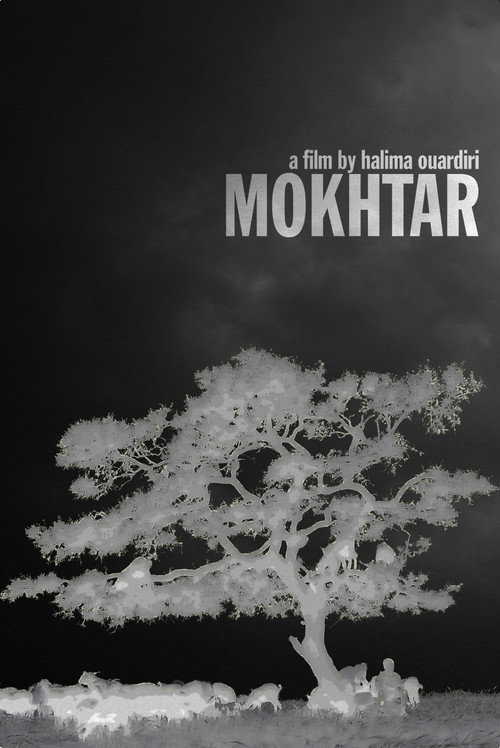 Movie poster for Mokhtar (2010)