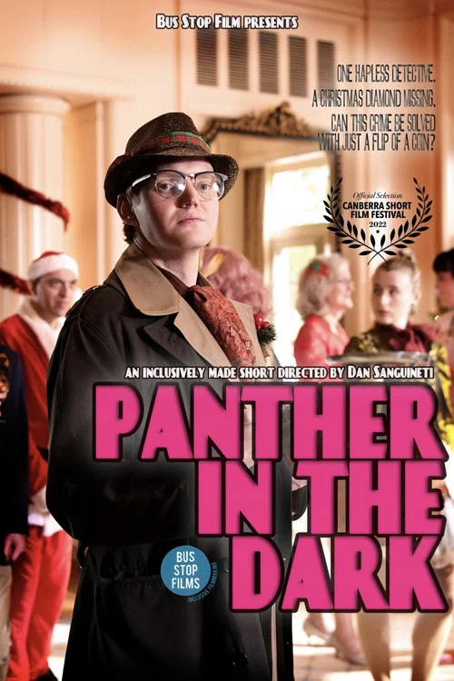 Movie poster for Panther in the Dark (2022)