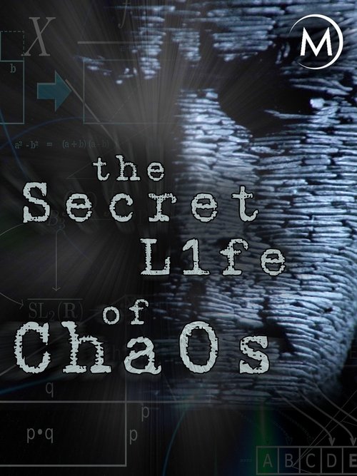 Movie poster for The Secret Life of Chaos (2010)