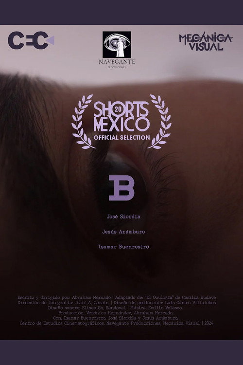 Movie poster for B (2025)