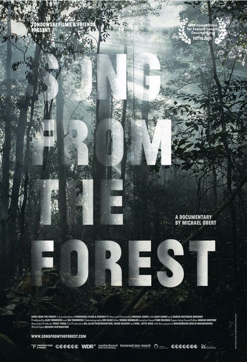 Movie poster for Song from the Forest (2014)