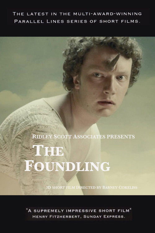 Movie poster for The Foundling (2010)