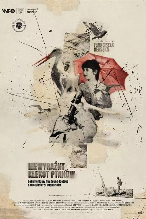 Movie poster for The Faint Clatter of Birds (2024)
