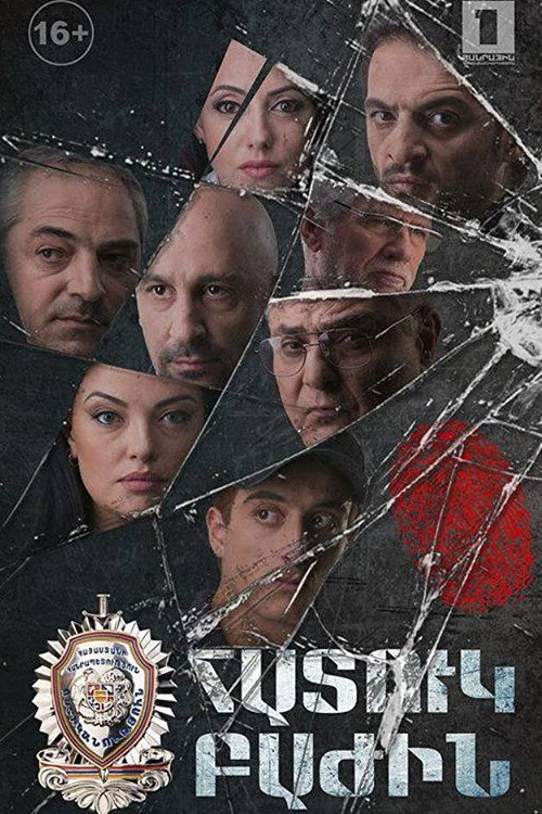 Series poster for Special Division (2015)
