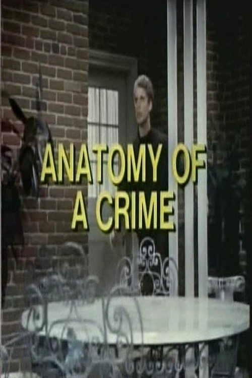 Movie poster for Anatomy of a Crime (1969)