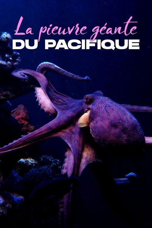 Movie poster for Rendezvous mit Riesenkraken - Die Geschichte von Ellie (2021)