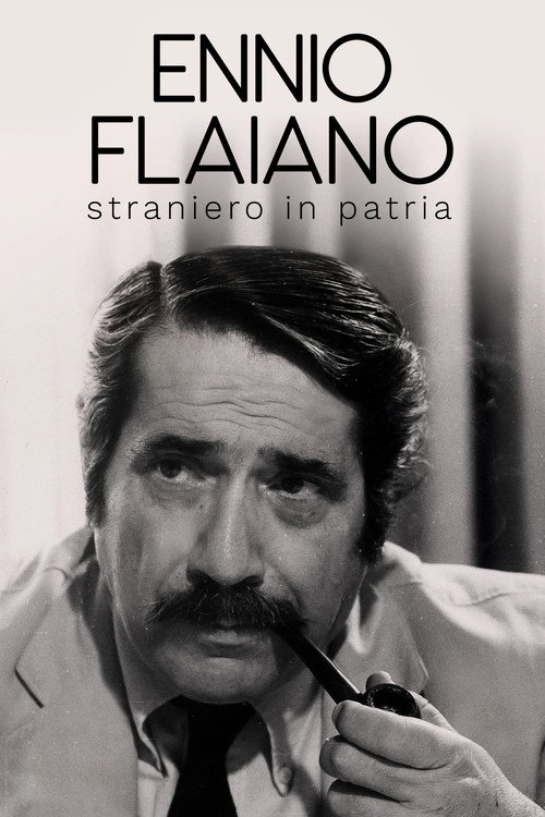 Movie poster for Ennio Flaiano, straniero in patria (2023)