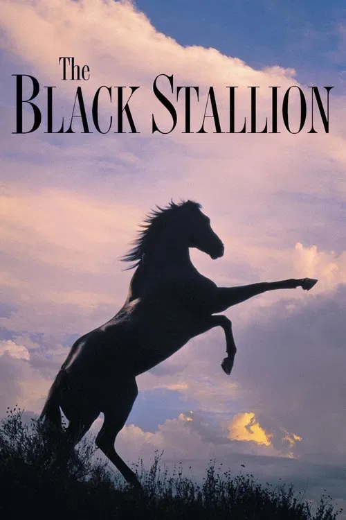 Movie poster for The Black Stallion (1979)