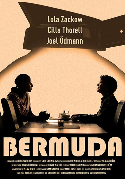 Movie poster for Bermuda (2018)