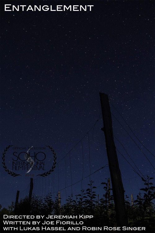 Movie poster for Entanglement (2018)