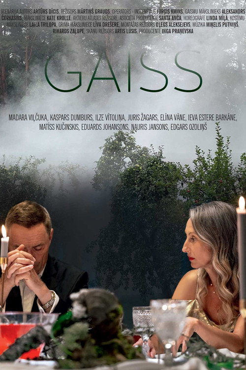 Movie poster for Gaiss (2024)
