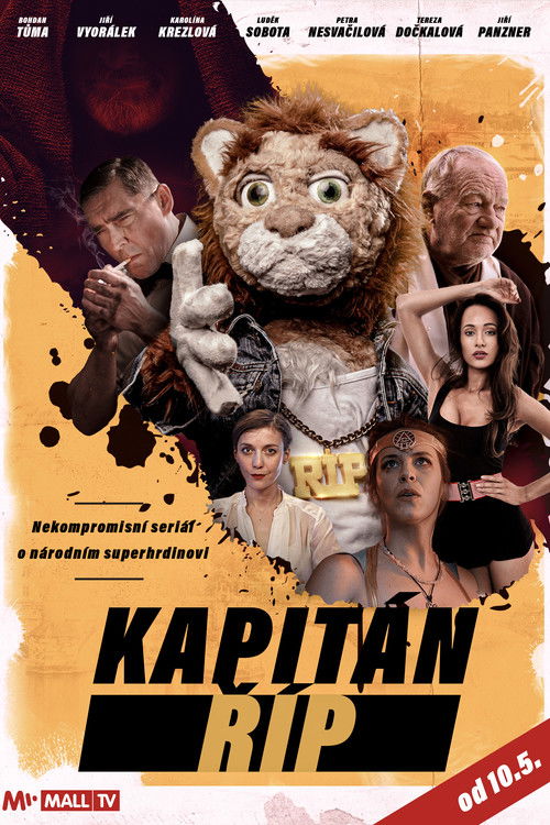 Kapitán Říp poster