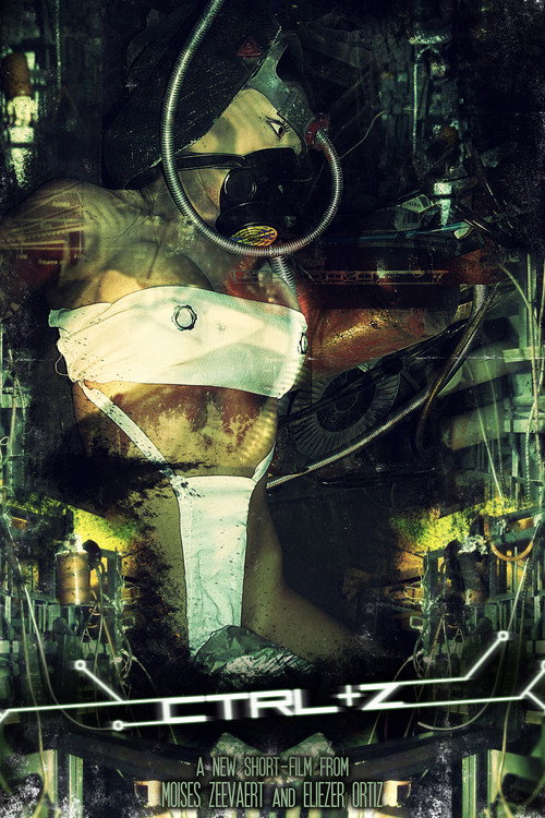 Movie poster for CTRL + Z (2009)