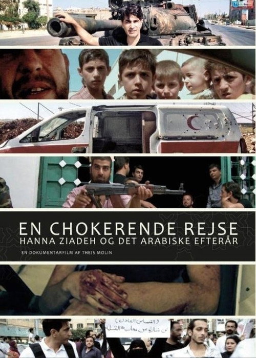 Movie poster for Crossing the Line (2013)