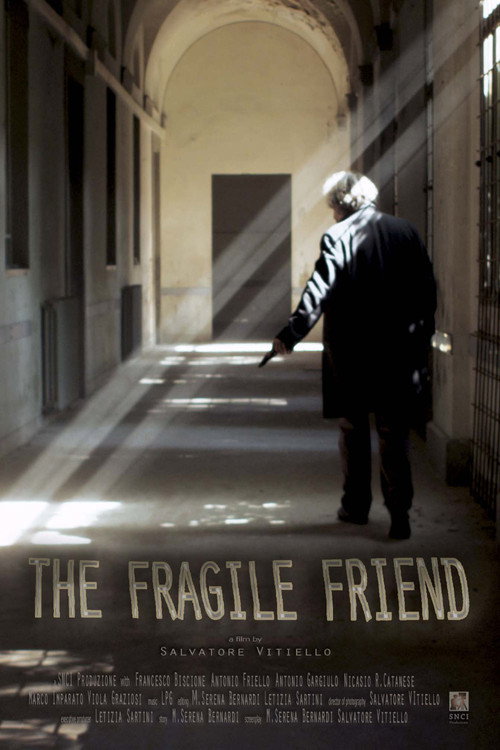 Movie poster for The Fragile Friend (2018)