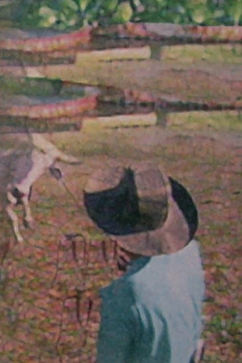 Movie poster for Pantanal: The Waters of Life (1997)