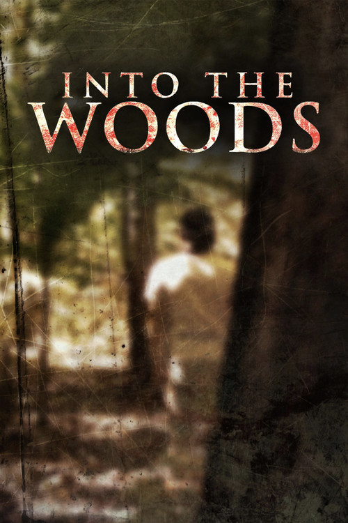 Movie poster for Into the Woods (2008)