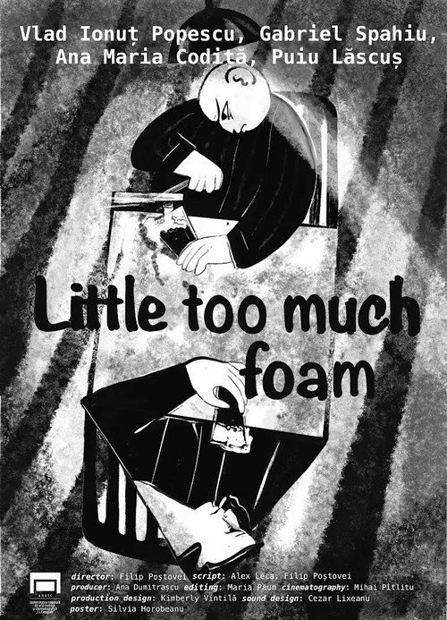 Movie poster for Little too much foam (2023)