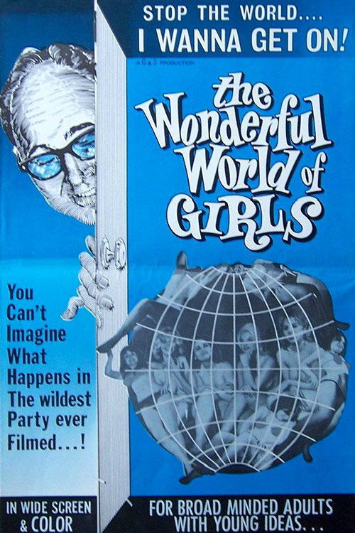 Movie poster for The Wonderful World of Girls (1965)