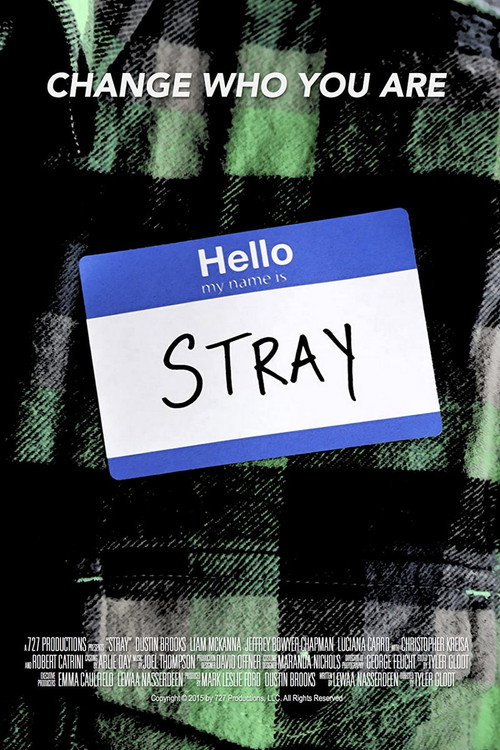 Movie poster for Stray (2015)