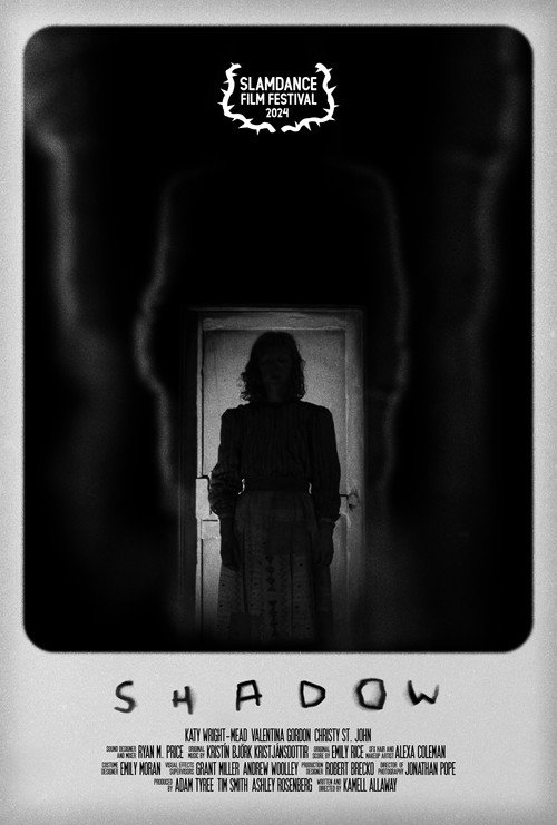 Movie poster for Shadow (2024)