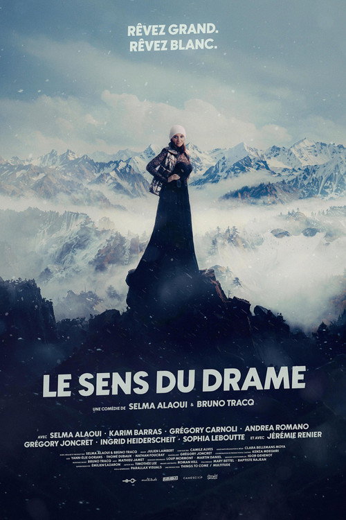 Movie poster for Le Sens du drame (2026)
