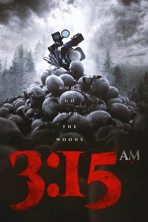 Movie poster for 3:15 am (2018)