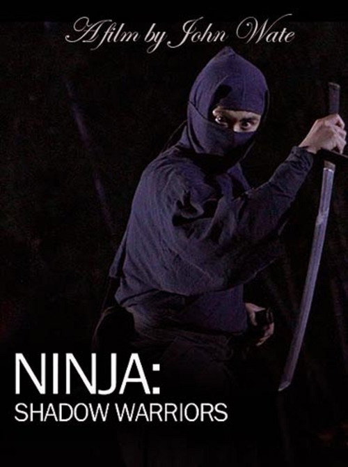 Movie poster for Ninja Shadow Warriors (2012)
