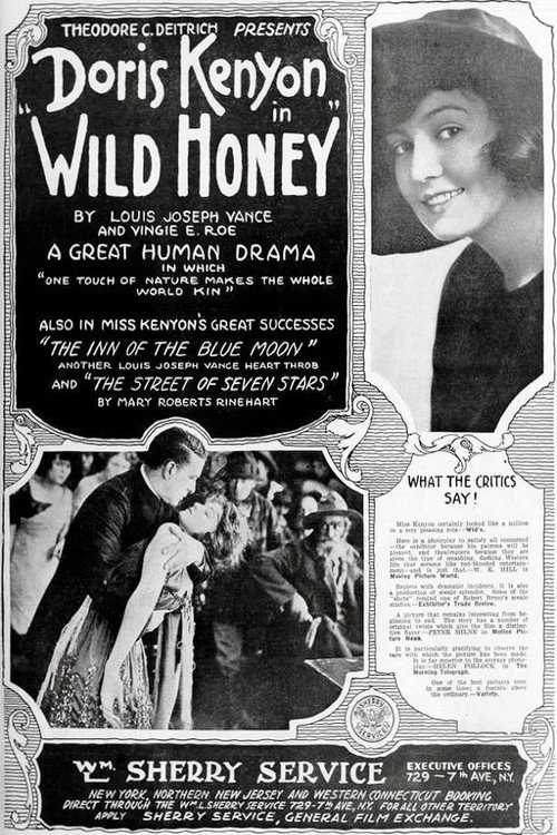Movie poster for Wild Honey (1918)