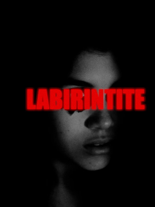 Movie poster for Labirintite