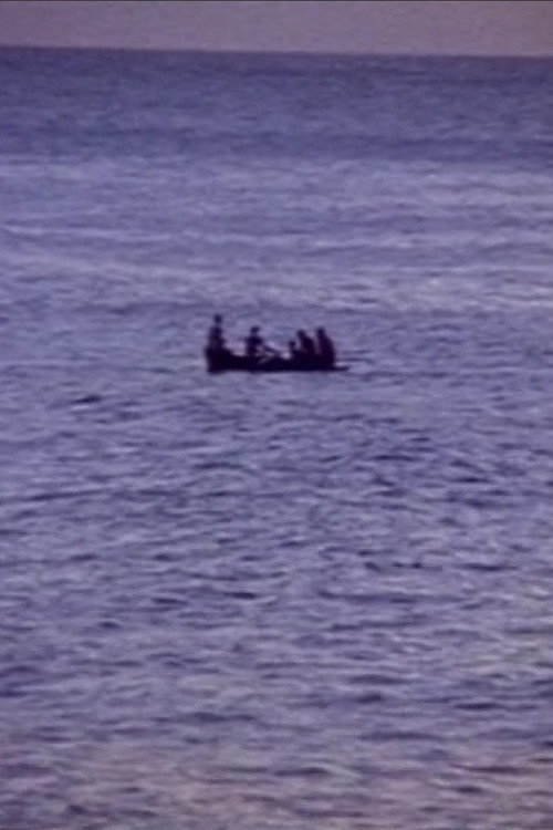 Movie poster for Caribs' Leap (2002)