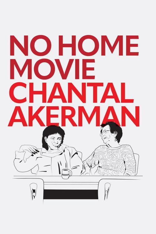 Movie poster for No Home Movie (2016)