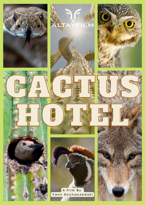 Movie poster for Cactus Hotel (2023)