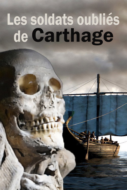Movie poster for Karthagos vergessene Krieger (2013)