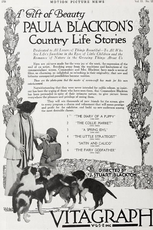 Movie poster for A Spring Idyll (1917)