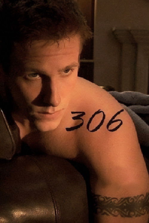 Movie poster for 306 (2010)