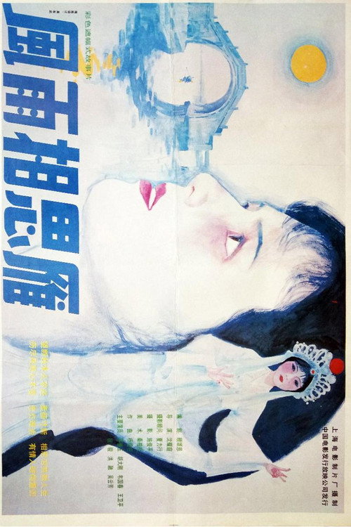 Movie poster for 风雨相思雁 (1991)