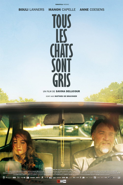 Movie poster for All Cats Are Grey (2014)